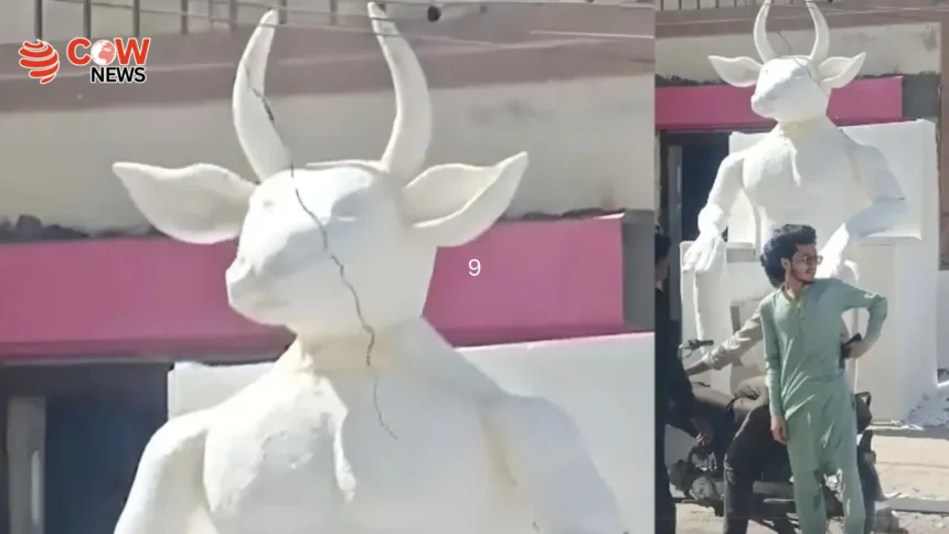 Karachi ‘Devil Statue Mystery Solved Police Reveal Truth
