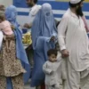 Khyber Pakhtunkhwa Halts Operations Against Illegal Afghan Refugees