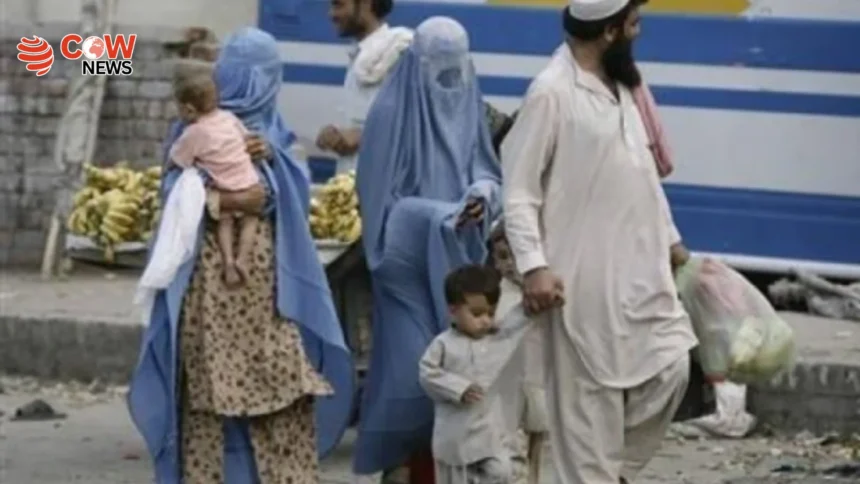 Khyber Pakhtunkhwa Halts Operations Against Illegal Afghan Refugees 1 Khyber Pakhtunkhwa Halts Operations Against Illegal Afghan Refugees