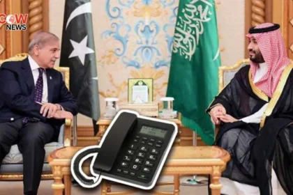 PM Shahbaz Talks With Saudi Crown Prince on Regional Peace
