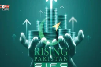 Privatization Push Strengthens Pakistans Economic Reform 1