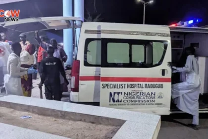 Three Suicide Blasts Kill 23 in Nigerias Maiduguri