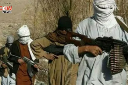 Afghanistan Called Safe Haven for Terror Groups