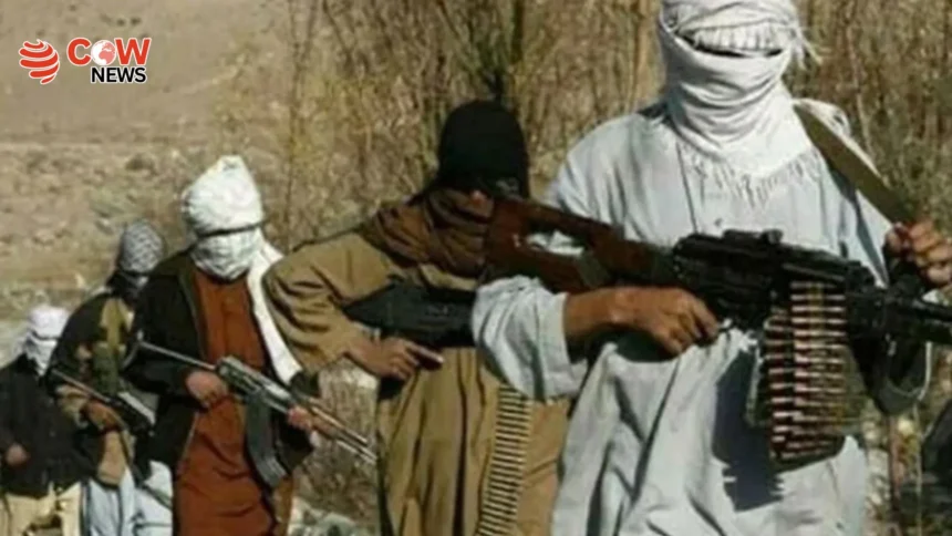 Afghanistan Called Safe Haven for Terror Groups