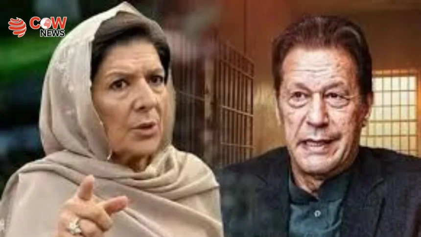 Aleema Khan Slams Courts Over Imran Khan Detention 1 Aleema Khan Slams Courts Over Imran Khan Detention 1