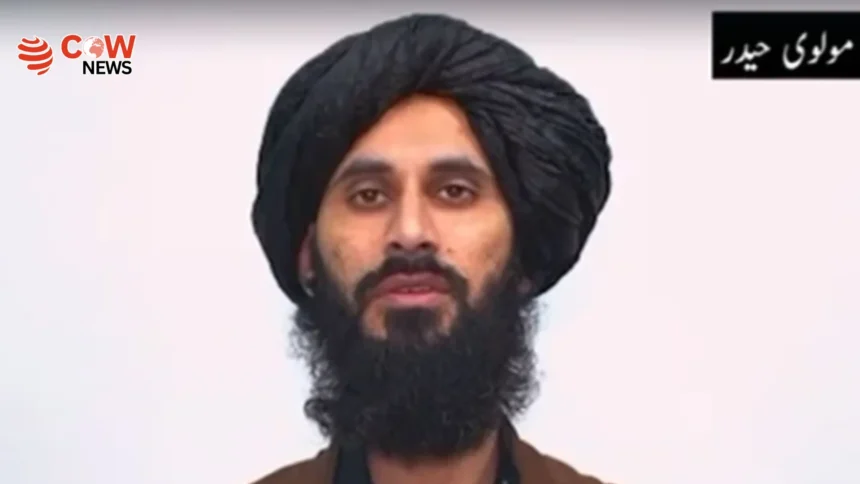 Detained Militant Claims Taliban India Nexus in Pakistan