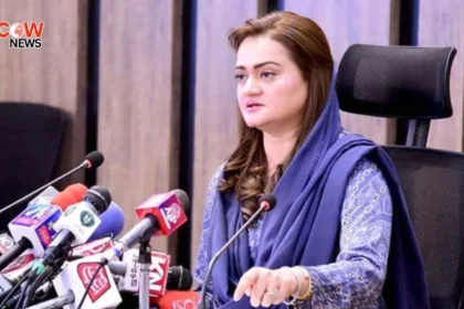 Maryam Aurangzeb Praises Shehbaz Leadership