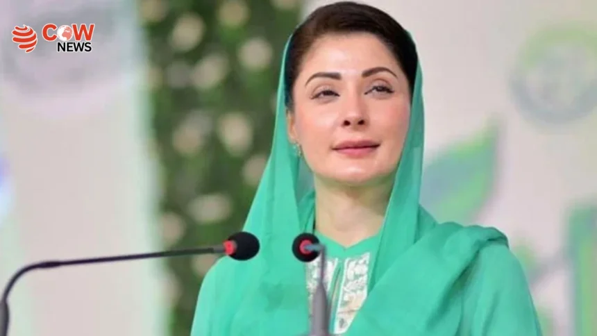 Maryam Nawaz stresses Chinese language for China market