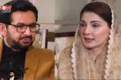 PML N Lacks Clear National Political Narrative Saleem Safi