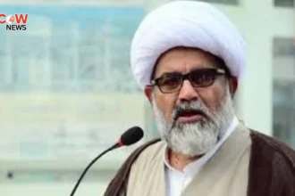 Pakistan Faces Institutional Collapse Claims Leader