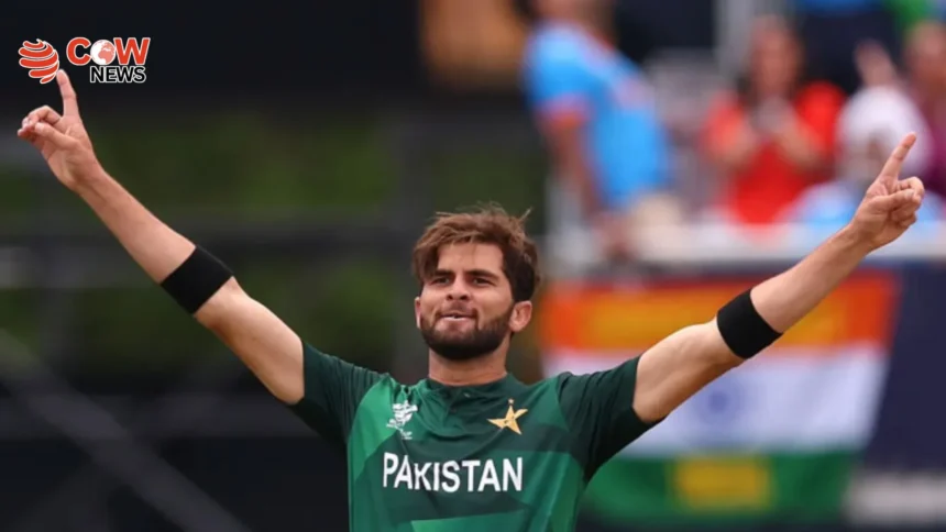 Shaheen Afridi Praises Pakistan Peace Efforts Role