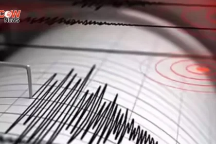 Strong Quake Hits Indonesia Tsunami Warning Issued