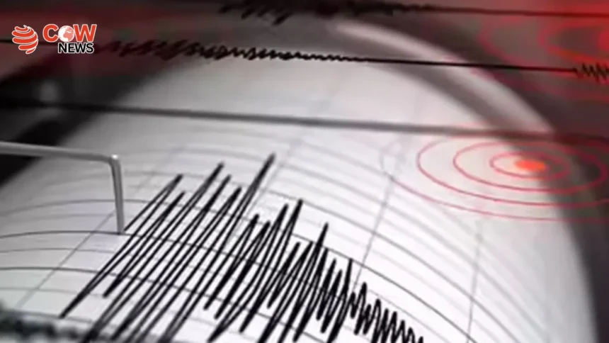 Strong Quake Hits Indonesia Tsunami Warning Issued