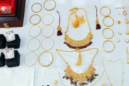 Taxila Police Recover Stolen Gold Arrest House Painter