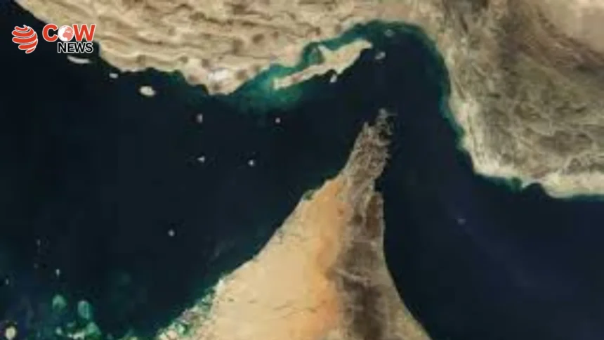 UAE Reportedly Plans Force to Open Hormuz Strait