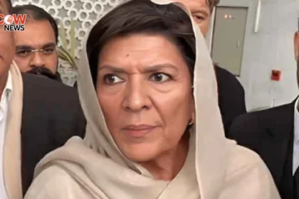 Aleema Khan Slams PTI Leaders Over Jail Absence