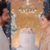 Bilal Abbas and Dur-e-Fishan Marriage Rumours Spread - The COW News