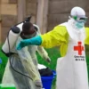 Congo Ebola Outbreak Kills 65, Raises Border Fears - The COW News