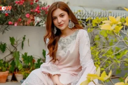 Dananeer Mobeen Rejects Love Over Acting Career - The COW News