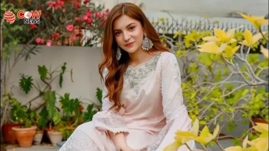 Dananeer Mobeen Rejects Love Over Acting Career - The COW News