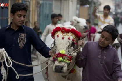 Eid-ul-Adha Hygiene Tips to Prevent Germs & Odor - The COW News