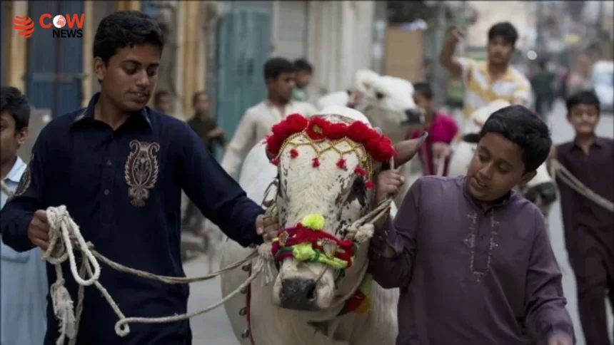 Eid-ul-Adha Hygiene Tips to Prevent Germs & Odor - The COW News