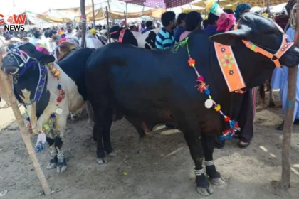 EidUlAdha MoonSighting TheCOWNews