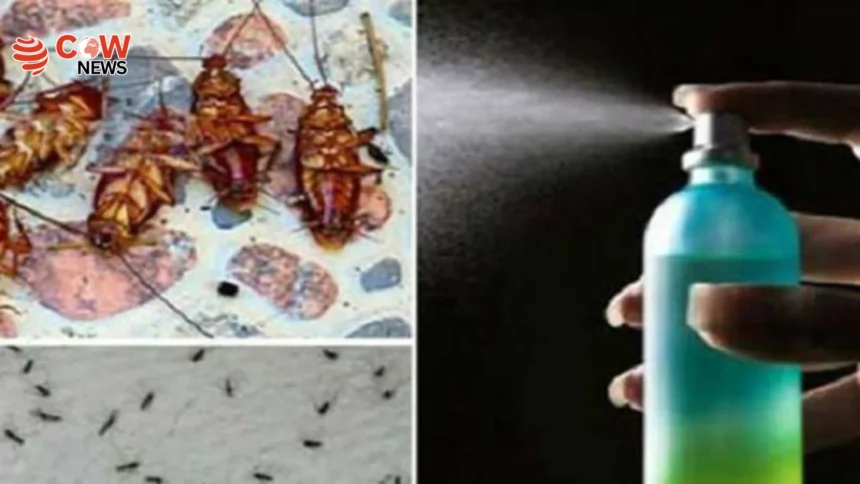 Experts Share Tips to Avoid Insects During Eid ul Adha 1 Experts Share Tips to Avoid Insects During Eid ul Adha - The COW News