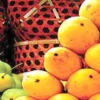 Health Warning Issued Over Chemically Ripened Mangoes - The COW News