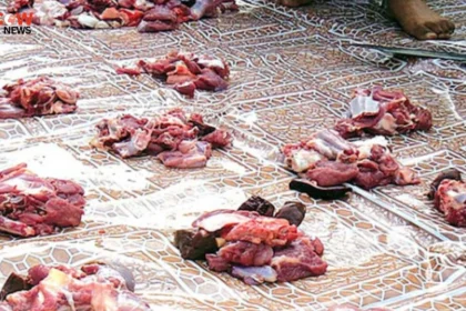 How to Store Qurbani Meat Safely in Summer Heat - The COW News