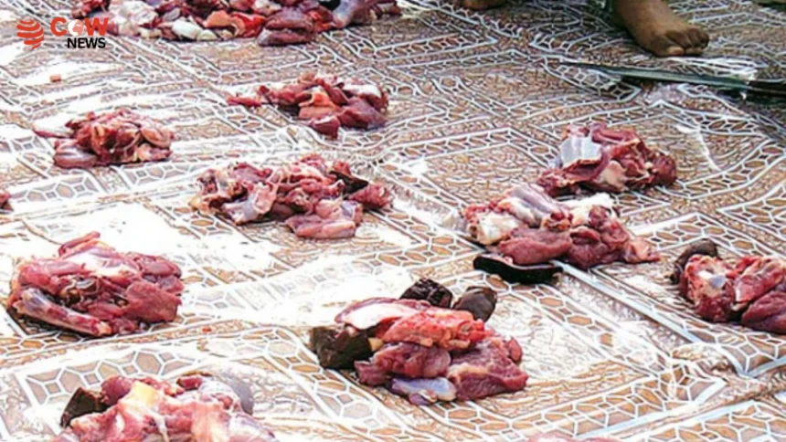 How to Store Qurbani Meat Safely in Summer Heat 1 How to Store Qurbani Meat Safely in Summer Heat - The COW News
