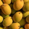 India’s Alphonso Mango Output Falls by 90% - The COW News
