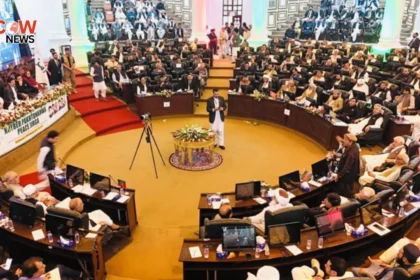KP Govt Allocates Portfolios to Cabinet Members - The COW News