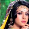 Meenakshi Seshadri Returns to Acting After 30 Years - The COW News
