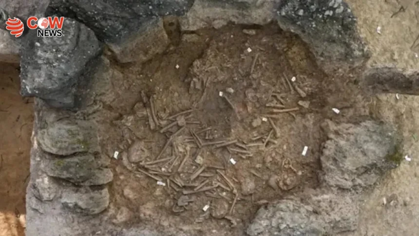 Mysterious ‘Death Jar’ With Human Remains Found in Laos 1 Mysterious ‘Death Jar’ With Human Remains Found in Laos - The COW News
