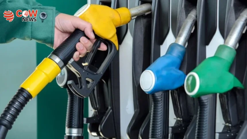 Pakistan Cuts Petrol, Diesel Prices by Rs5 Per Liter - The COW News