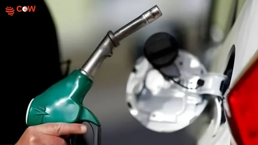 Pakistan Cuts Petrol and Diesel Prices by Rs 22 - The COW News