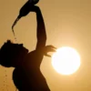 Pakistan Heatwave Alert Issued Till May 31 - The COW News