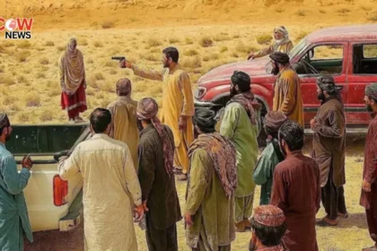 Pakistan Reports Rise in Gender Based Violence in 2025