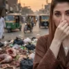 Punjab Imposes Rs50,000 Fine for Dumping Waste - The COW News