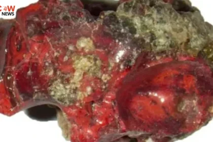 Rare Crystal Found After First Nuclear Explosion - The COW News