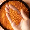 Study Links Soy and Lentils to Lower Blood Pressure Risk - The COW News