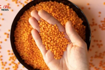 Study Links Soy and Lentils to Lower Blood Pressure Risk - The COW News