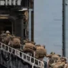 US Weighs Large Scale Military Action Against Iran