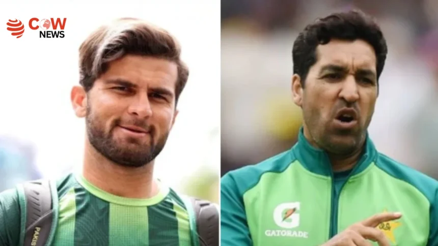 Umar Gul Clarifies Rumors of Rift with Shaheen Afridi - The COW News