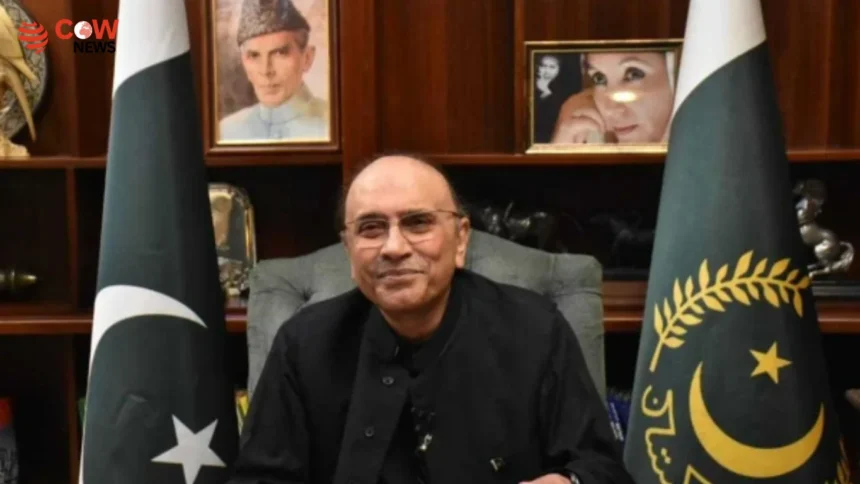 Zardari Says We Will Strengthen State Institutions - The COW News