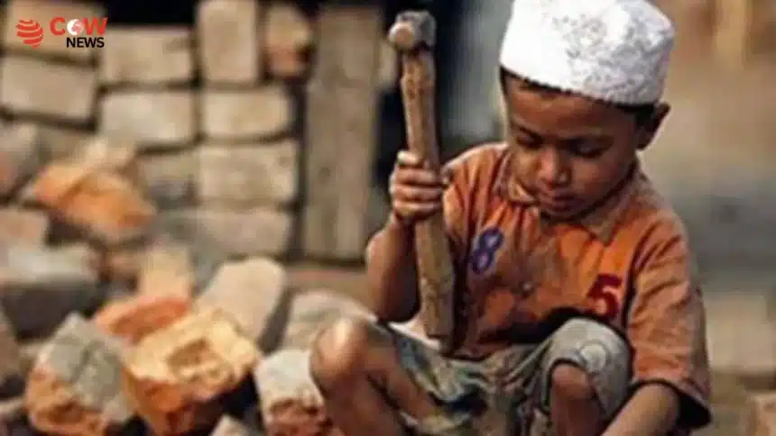 8.6 Million Children in Labour in Pakistan Report 1 8.6 Million Children in Labour in Pakistan Report - The COW News