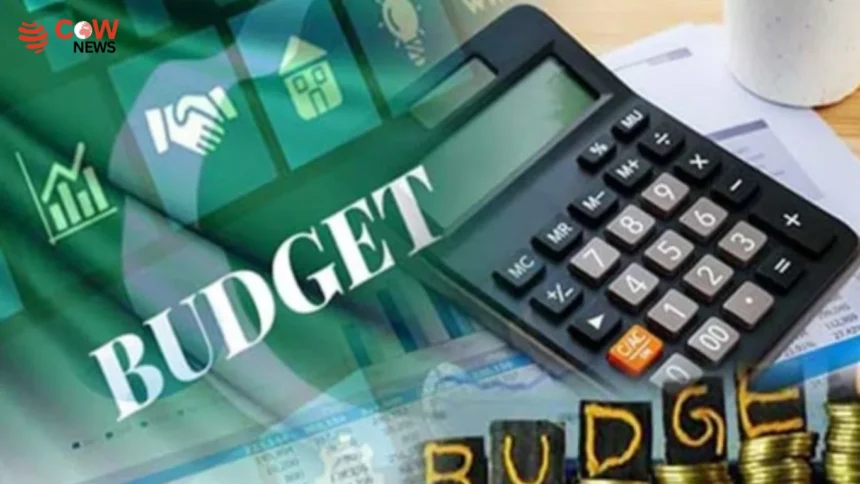 Budget May Raise Fuel Levy, Sales Tax on Essentials - The COW News