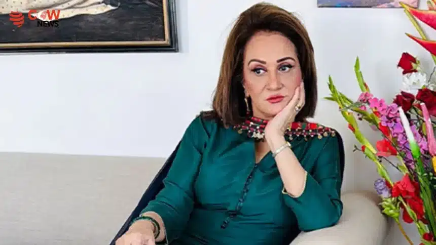 Bushra Ansari Responds to Lip Filler Rumors - The COW News