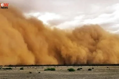 Dust Storm Wreaks Havoc Across Sindh, Power Outages - The COW News